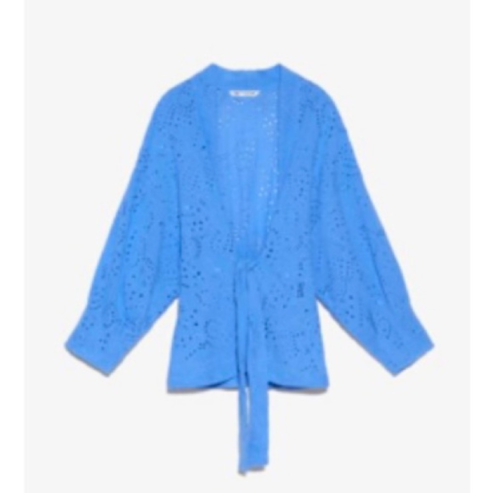 Embroidered eyelet blue blouse